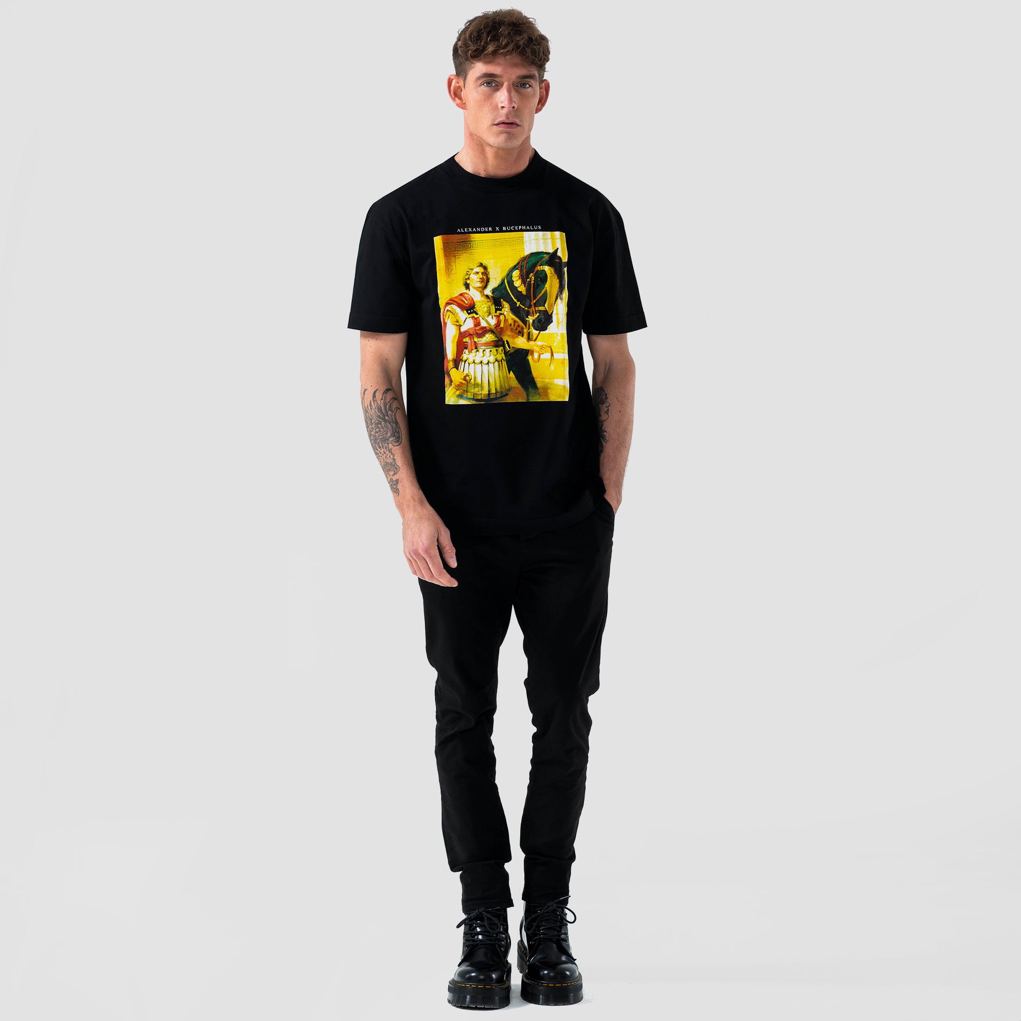 Alexander x Bucephalus